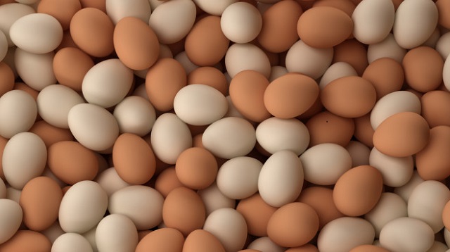 Eggs - healthy food with high protein - Brock sustainability