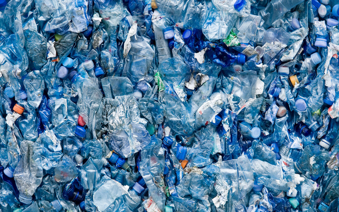 Planet vs Plastics: Taking Action for a Sustainable Future Planet