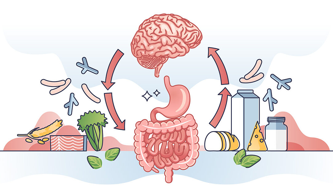 Understanding the Connection Between Your Gut and Brain