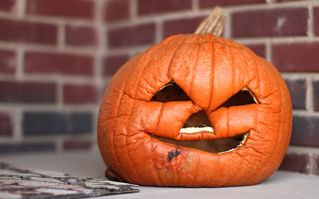 From Carving to Compost: Sustainable Ways to Reuse Your Pumpkin