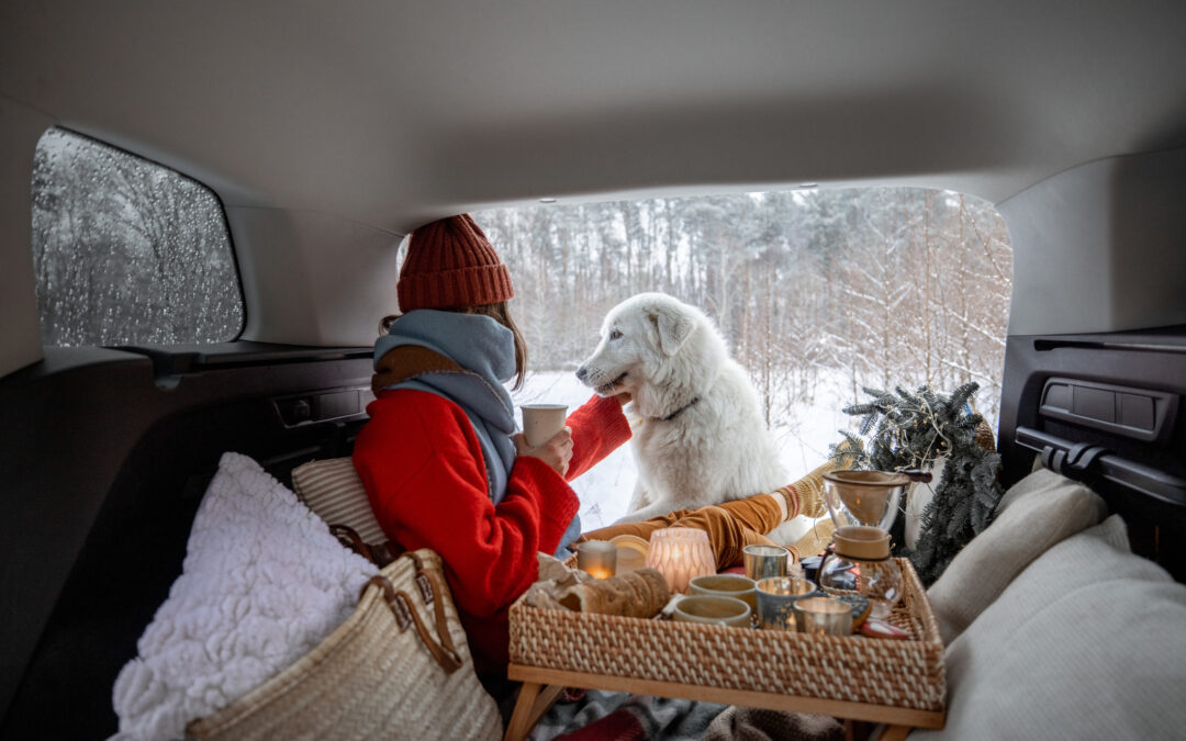 Cozy Up with a Car Picnic